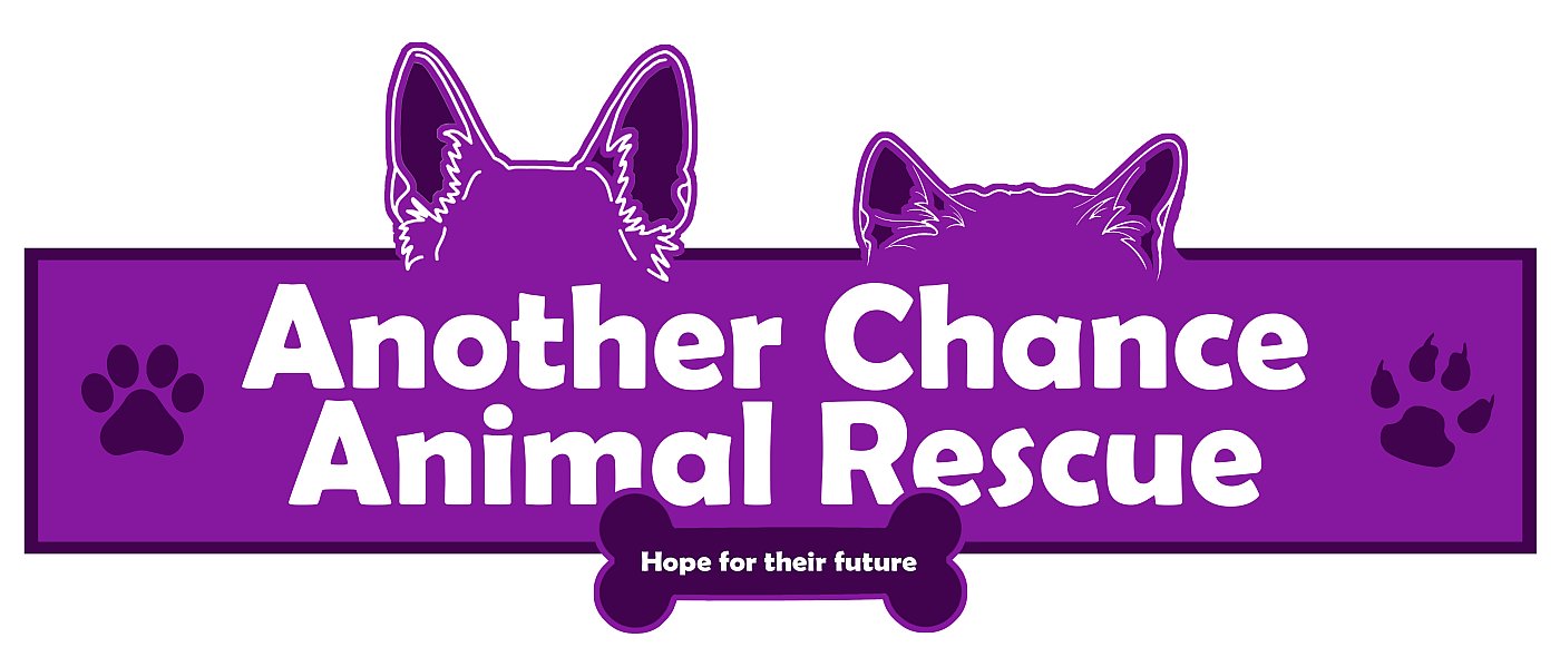 Another Chance Animal Rescue Fundraiser Shoot